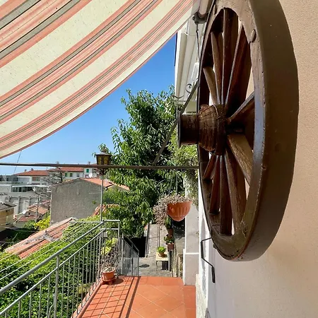 Le Pergole Τεργέστη